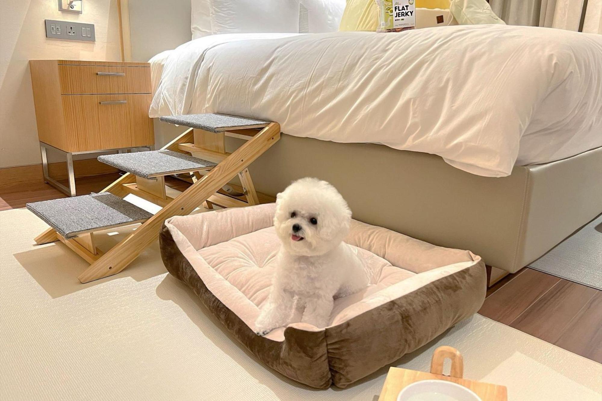 Courtyard By Marriott Botanic Park Seoul