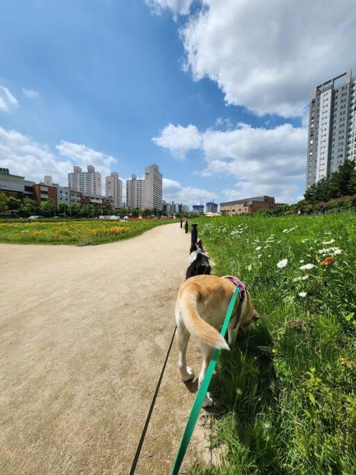 Ilbo Seoul