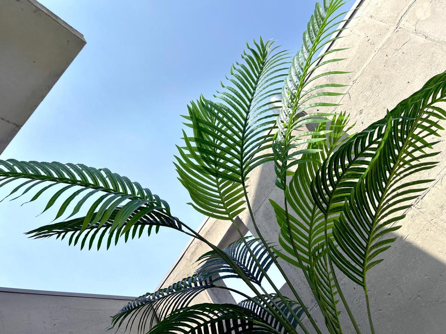 Holiday home Private Duplex House With A Rooftop - Foreigner Only *