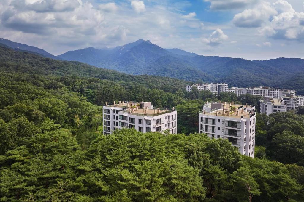 Paraspara Tempat peranginan Seoul