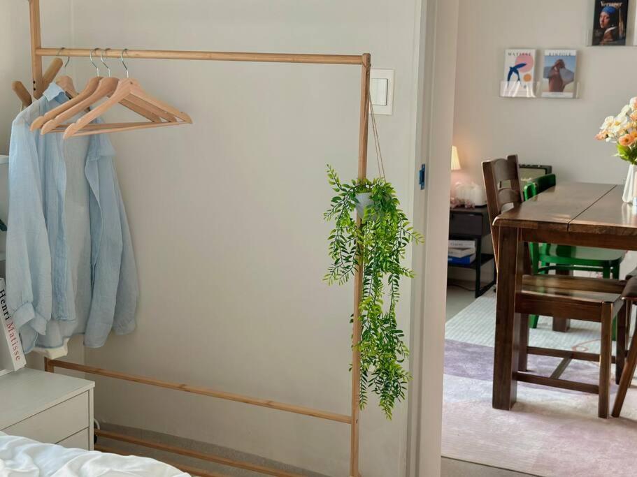 Apartment Calming Place,