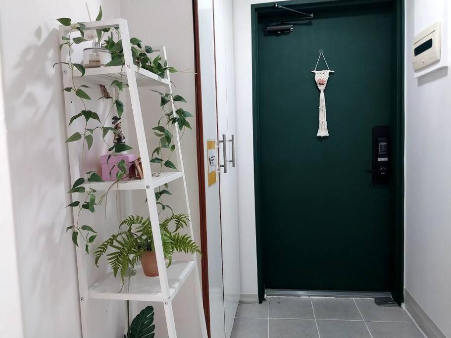 The Memory Apartment *