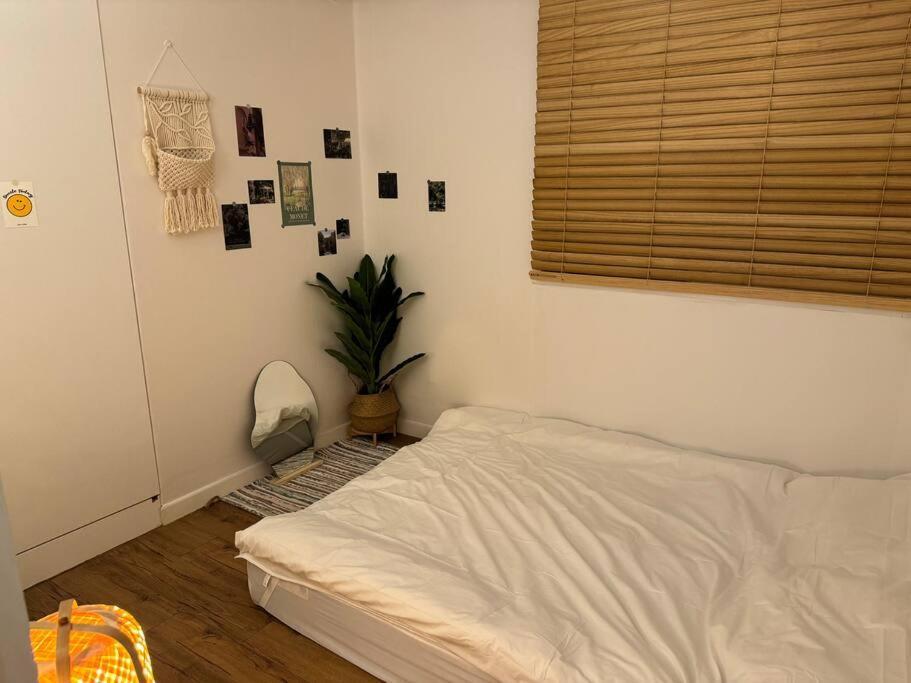 Local Calm #perfect Location Apartment *
