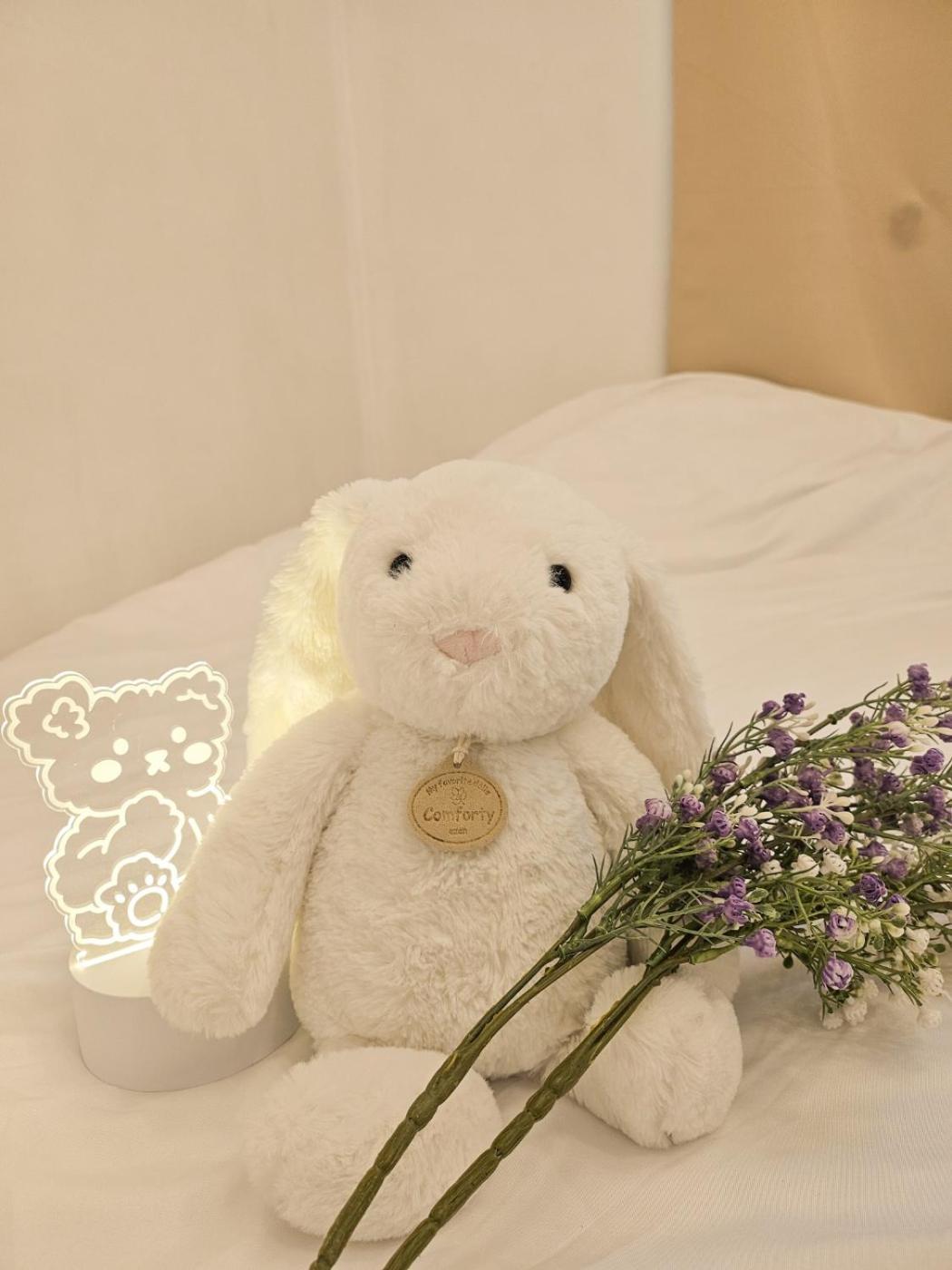 Staydam * Seoul