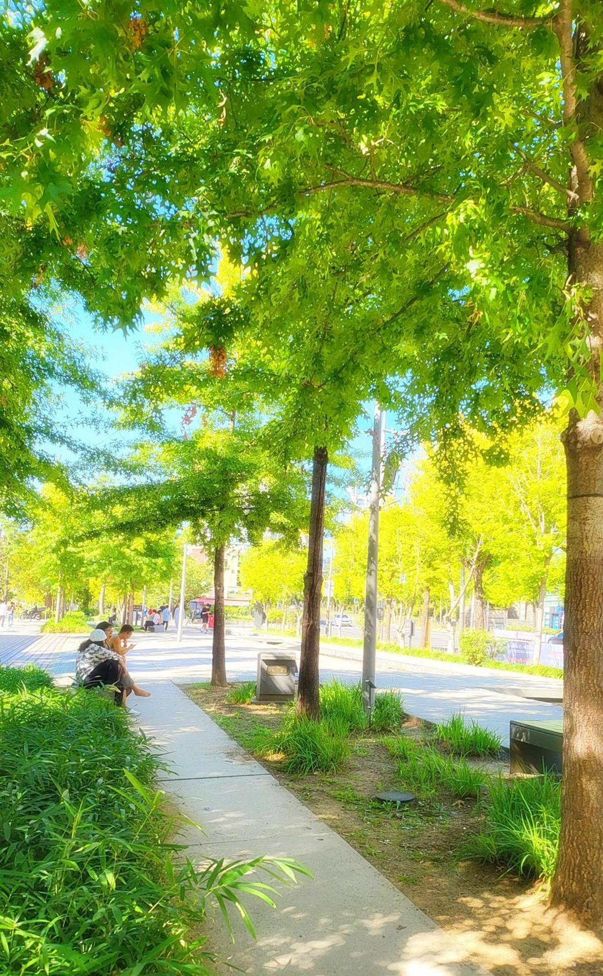 Park #hongdae Sinchon 10min #metro 3min #3beds Apartment Seoul
