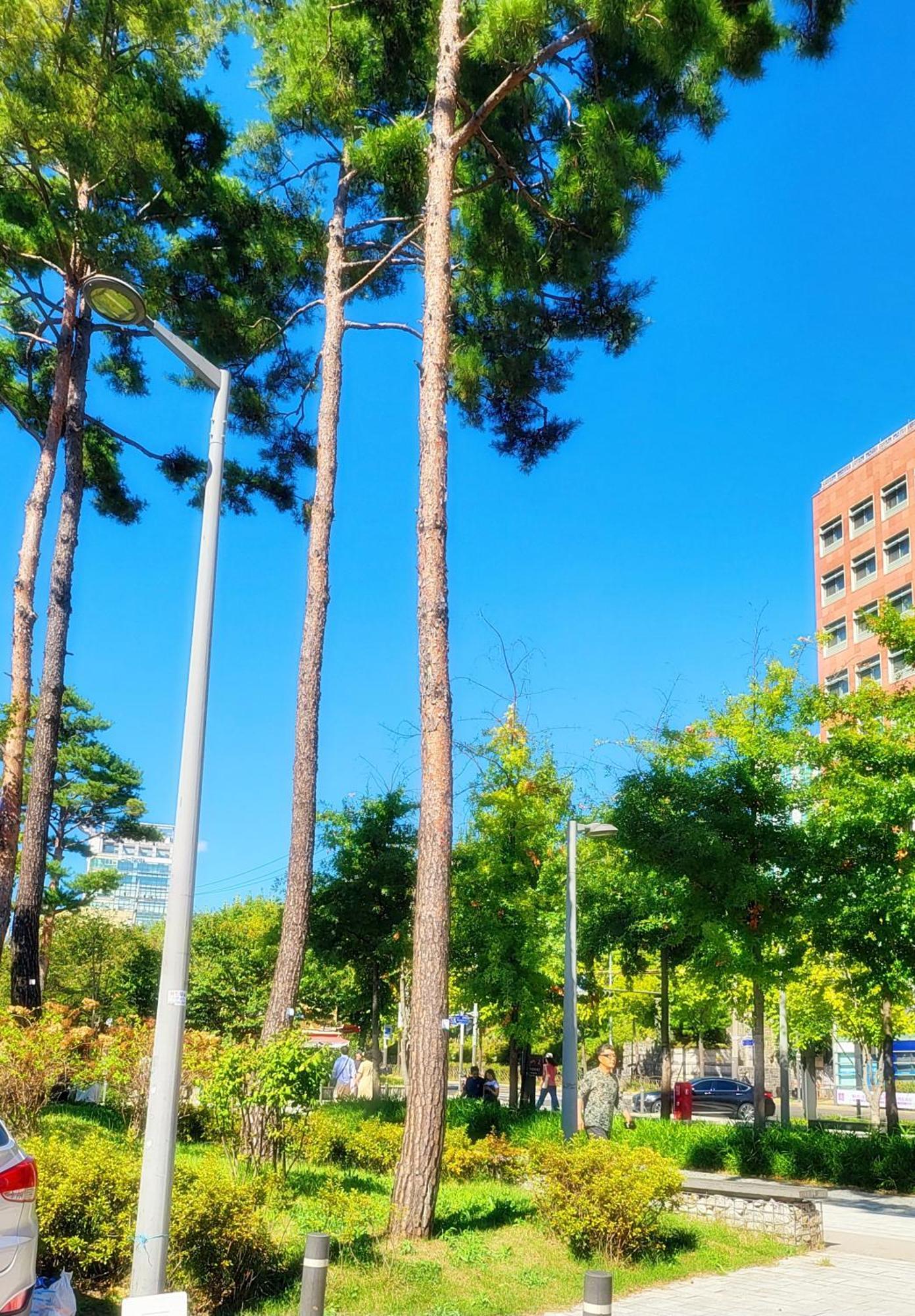 Apartment Park #hongdae Sinchon 10min #metro 3min #3beds Seoul