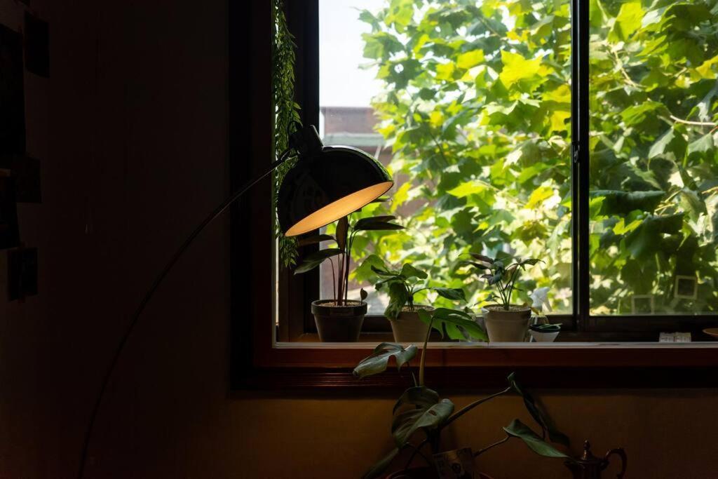 Comfy Leafy In Yeonnam Pangsapuri