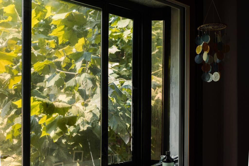 Comfy Leafy In Yeonnam Apartment *