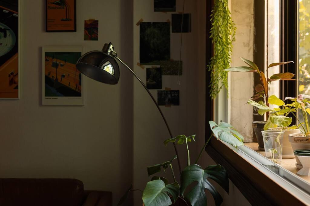 Comfy Leafy In Yeonnam *