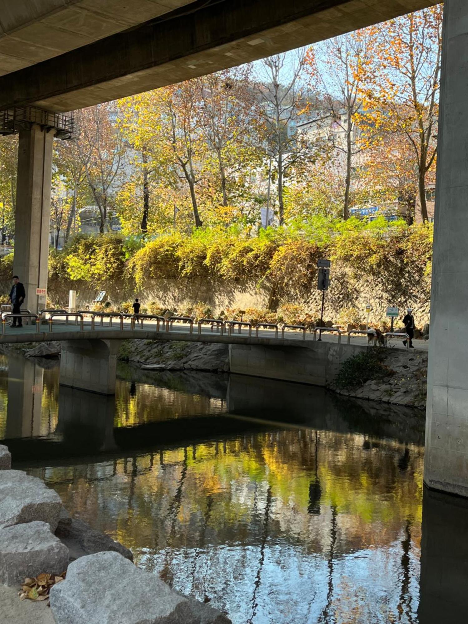 Asrama Bueno Day - Near Hongdae & Historic Sites Seoul