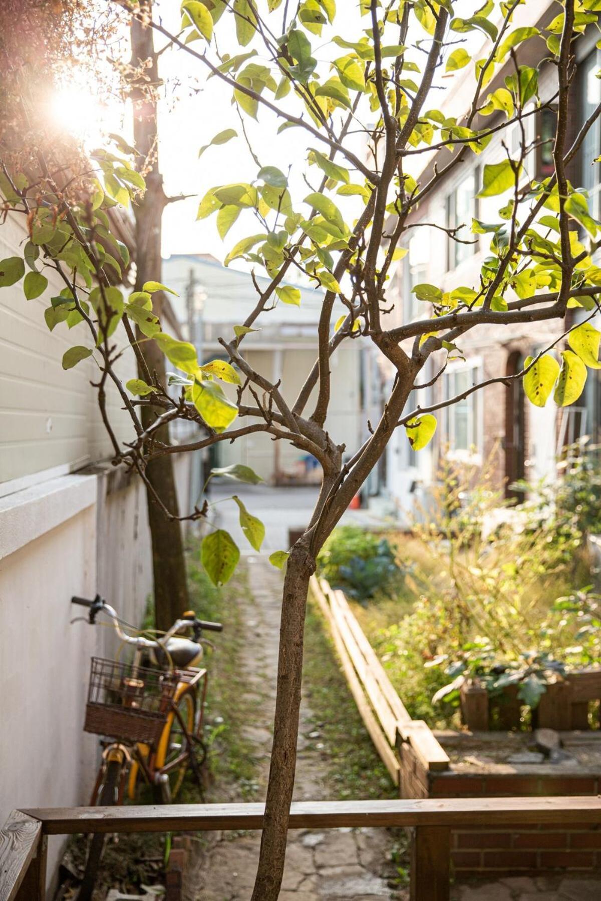 Apartment Sumsum-jip - Cozy House 2br Near Hongdae Seoul