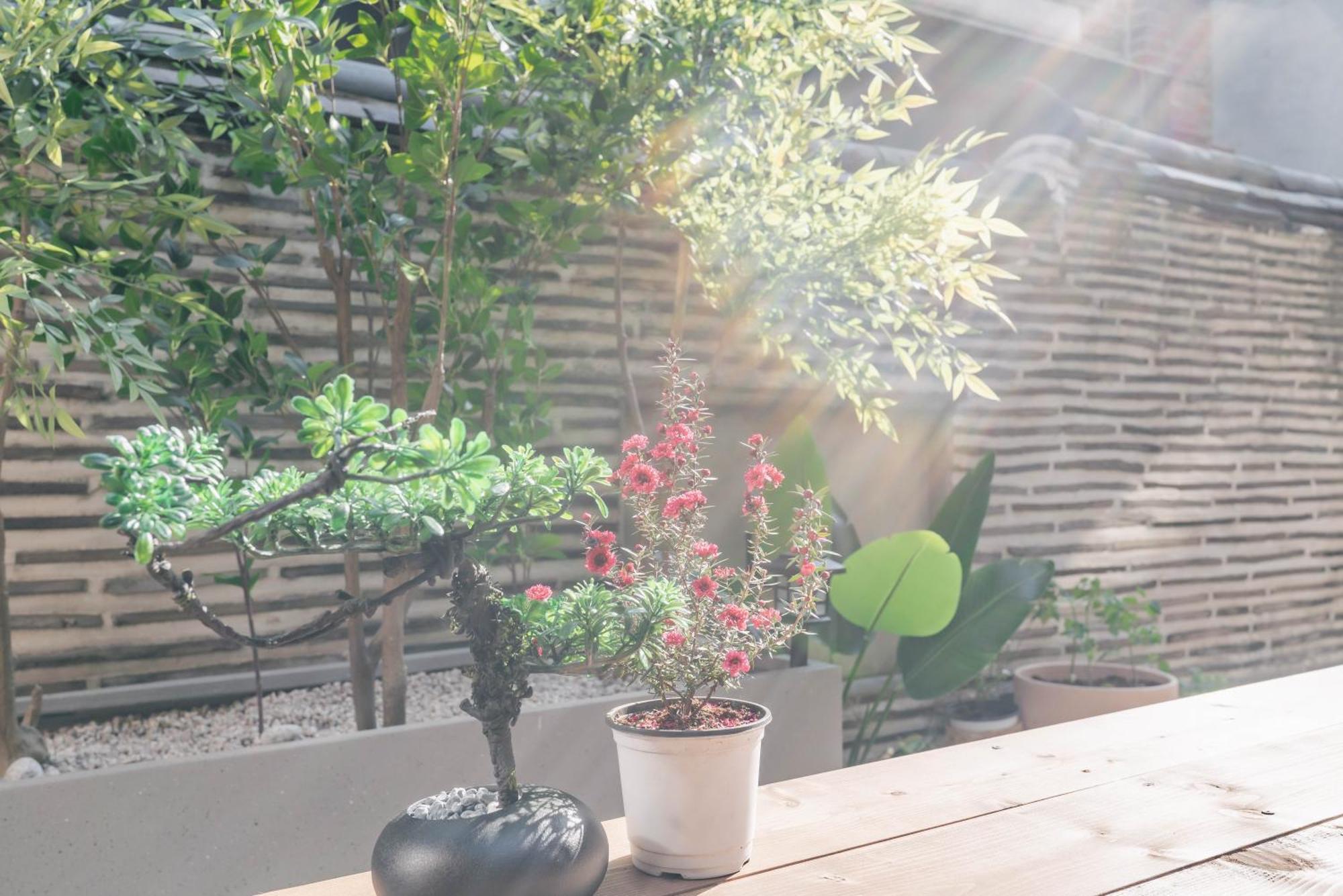Pousada Traditional Family Hanok, Moonlight Fragrance Seul