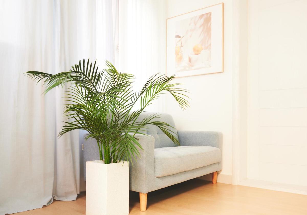 Apartment Hongik Univ Station Greenery Terrace House Seoul