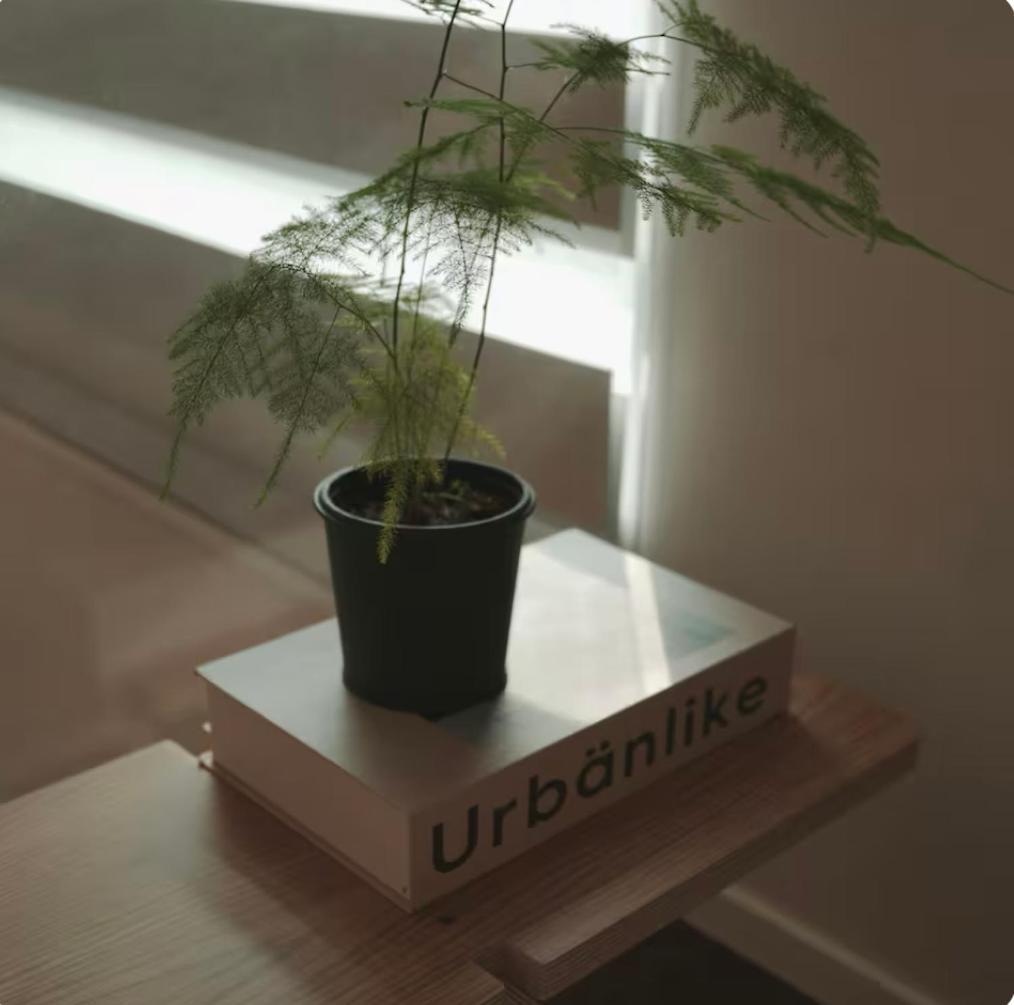 Apartment Seongsu 10 Minutes, K-architectural Designers' Unique House