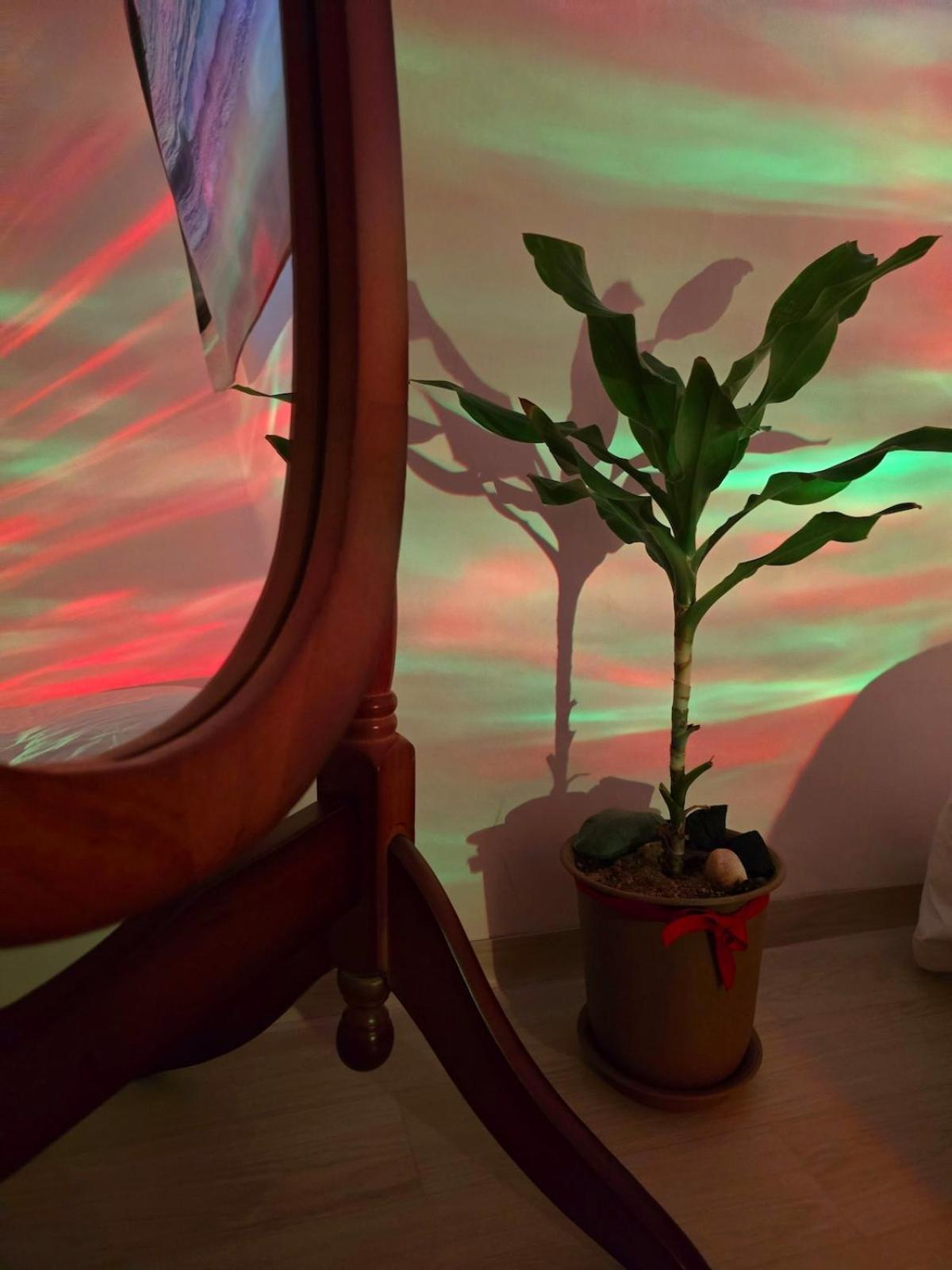 Hope Apartment *