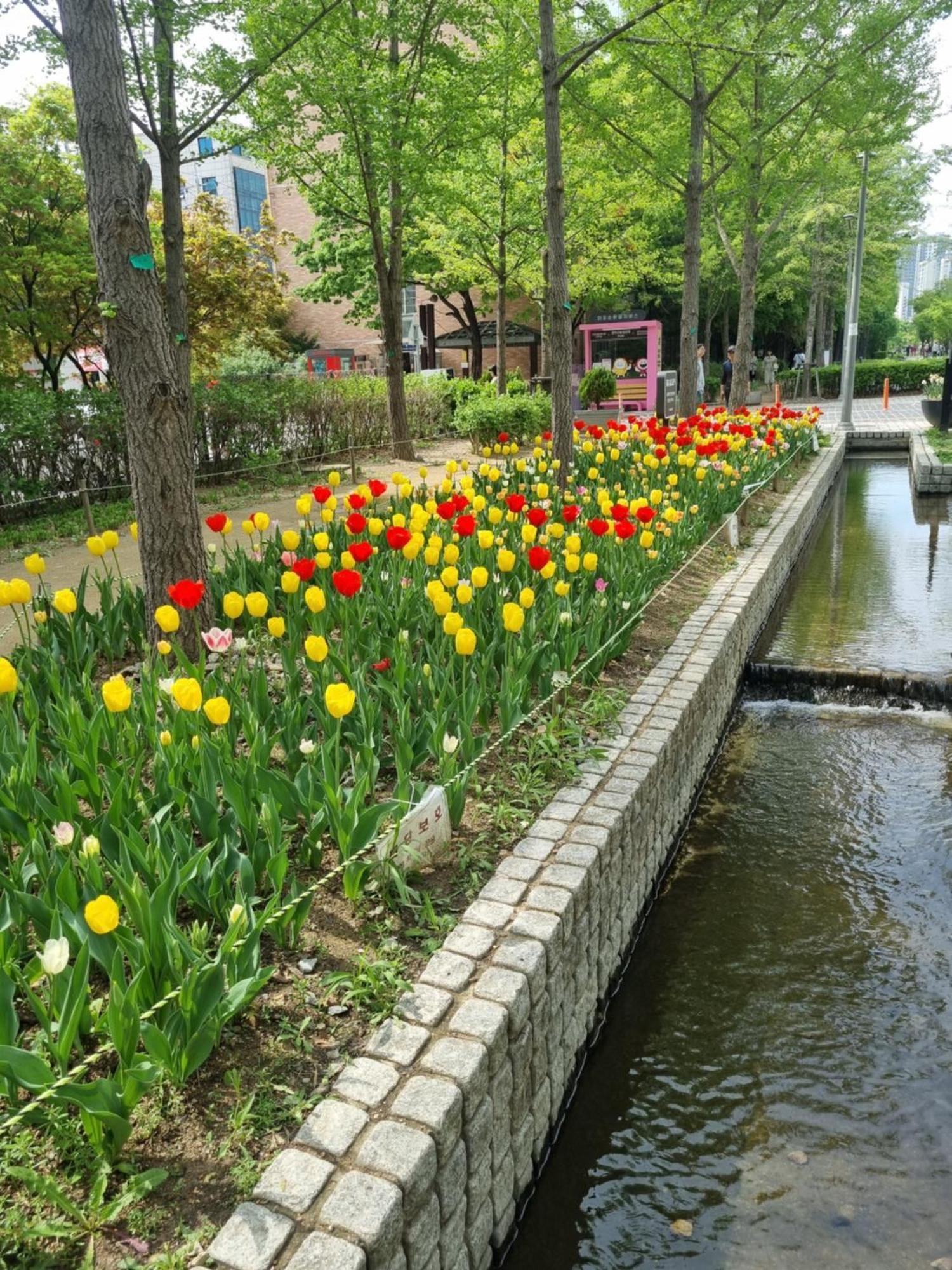 Villa Hongdae Sky View Private Roof Garden House 2br 2qb 1ssb Free Wifi Starbucks Capsule 외국인전용