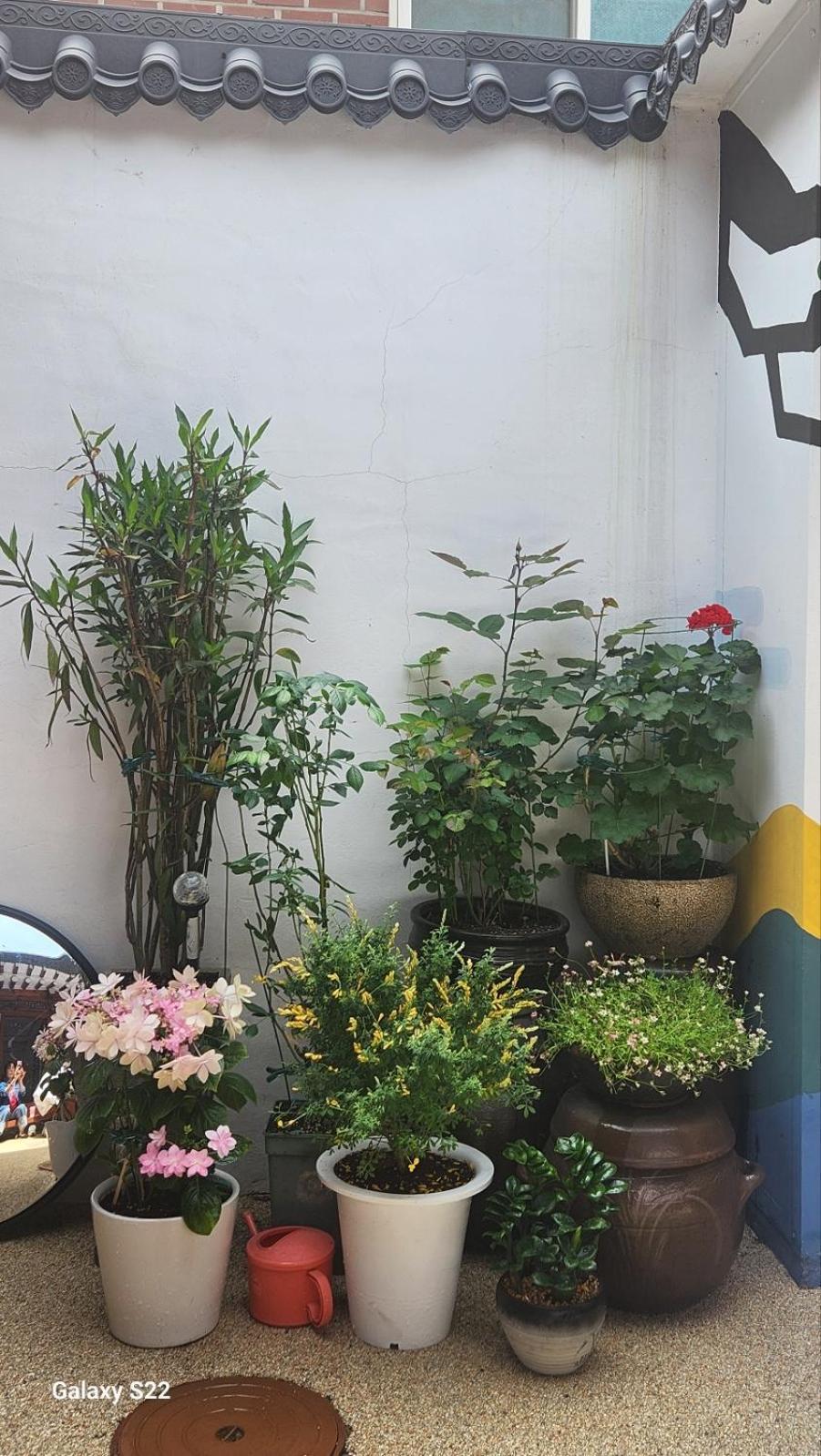 Gilgaon Hanok Rumah tetamu