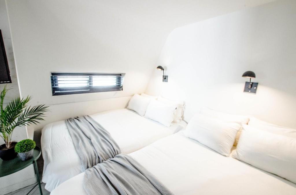 Mmmio Ii Design Myeongdong Motel Seoul