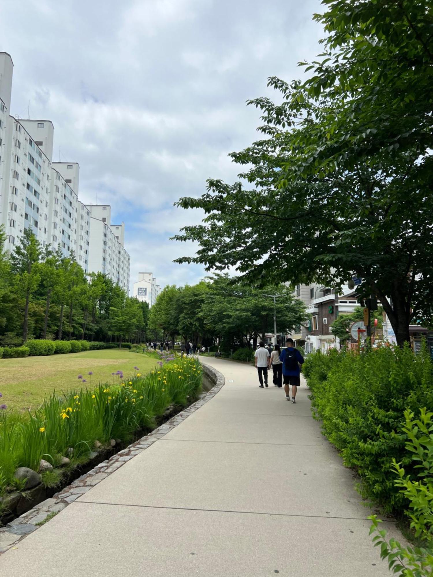 Hongdae Oyo Stay, Free Luggage Keeping, Hongdae Station Line And Airport Train