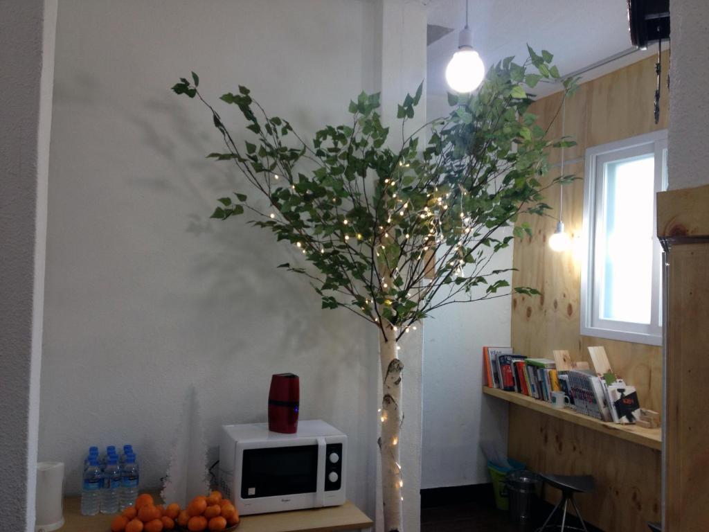Huga Haus Hostel *
