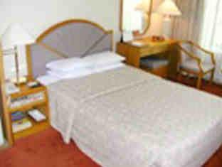 Hotel Rex 3*