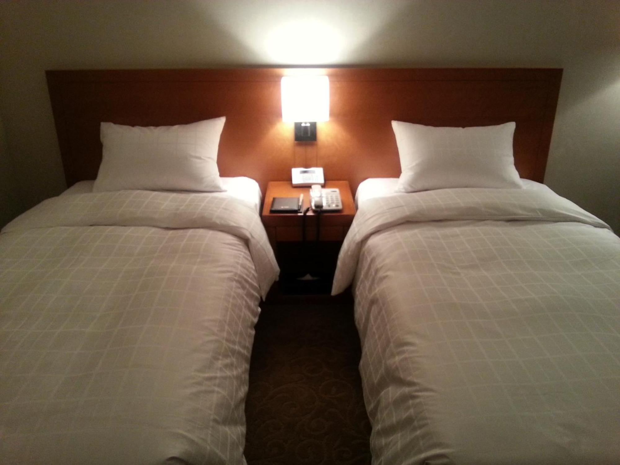 Hotel Rex 3*