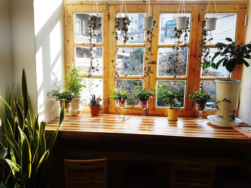 Guest house Time Traveler Relax Hongdae 2*