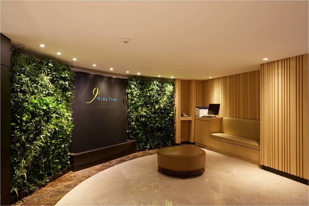 Nine Tree By Parnas Myeongdong 1 Hotel