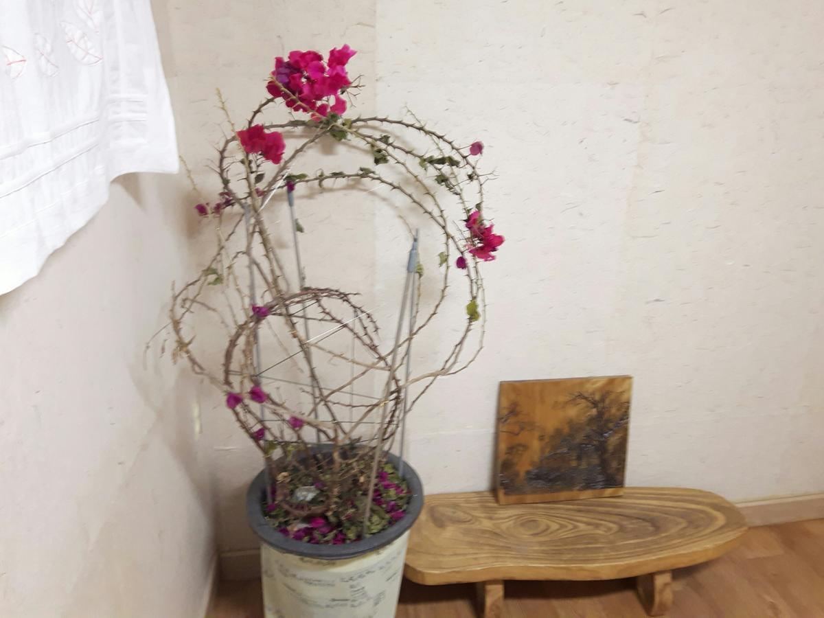 Lydia Craft Guest house
