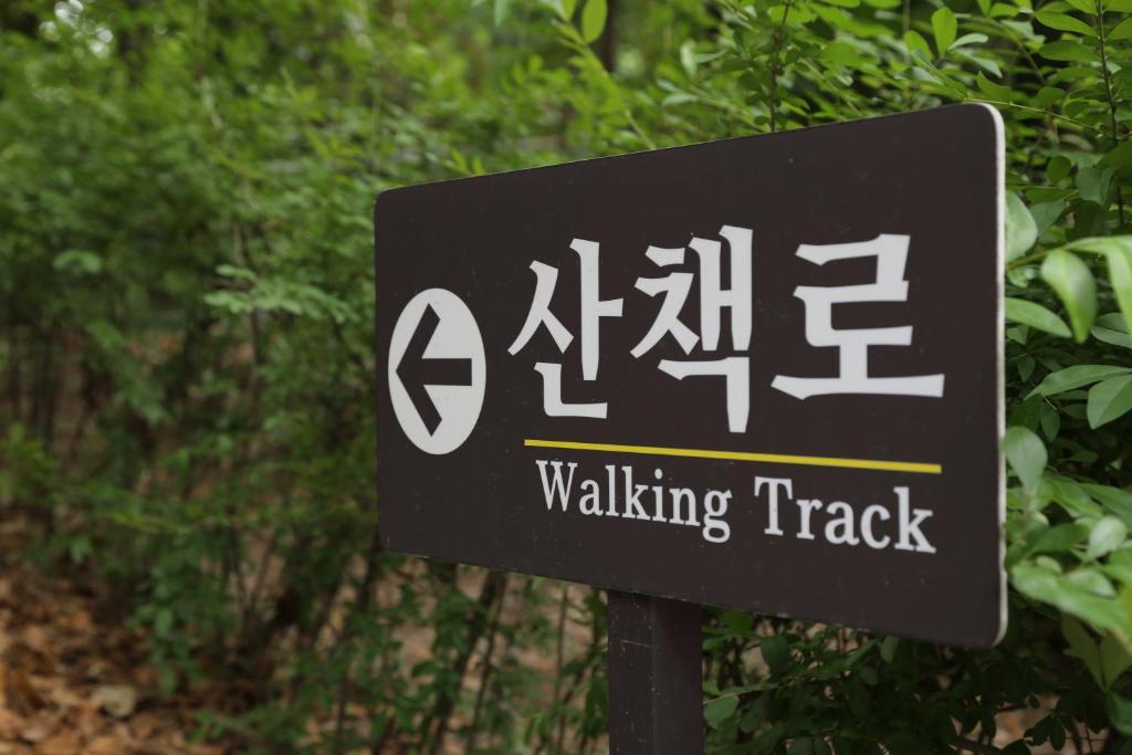 The-k Seul