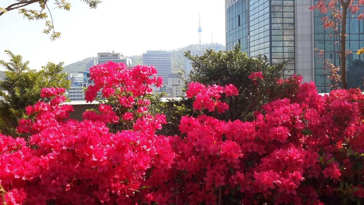 Hotel Rian Seoul