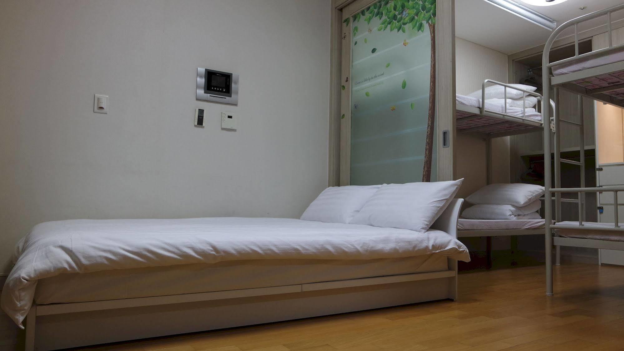 Coco Albergue
