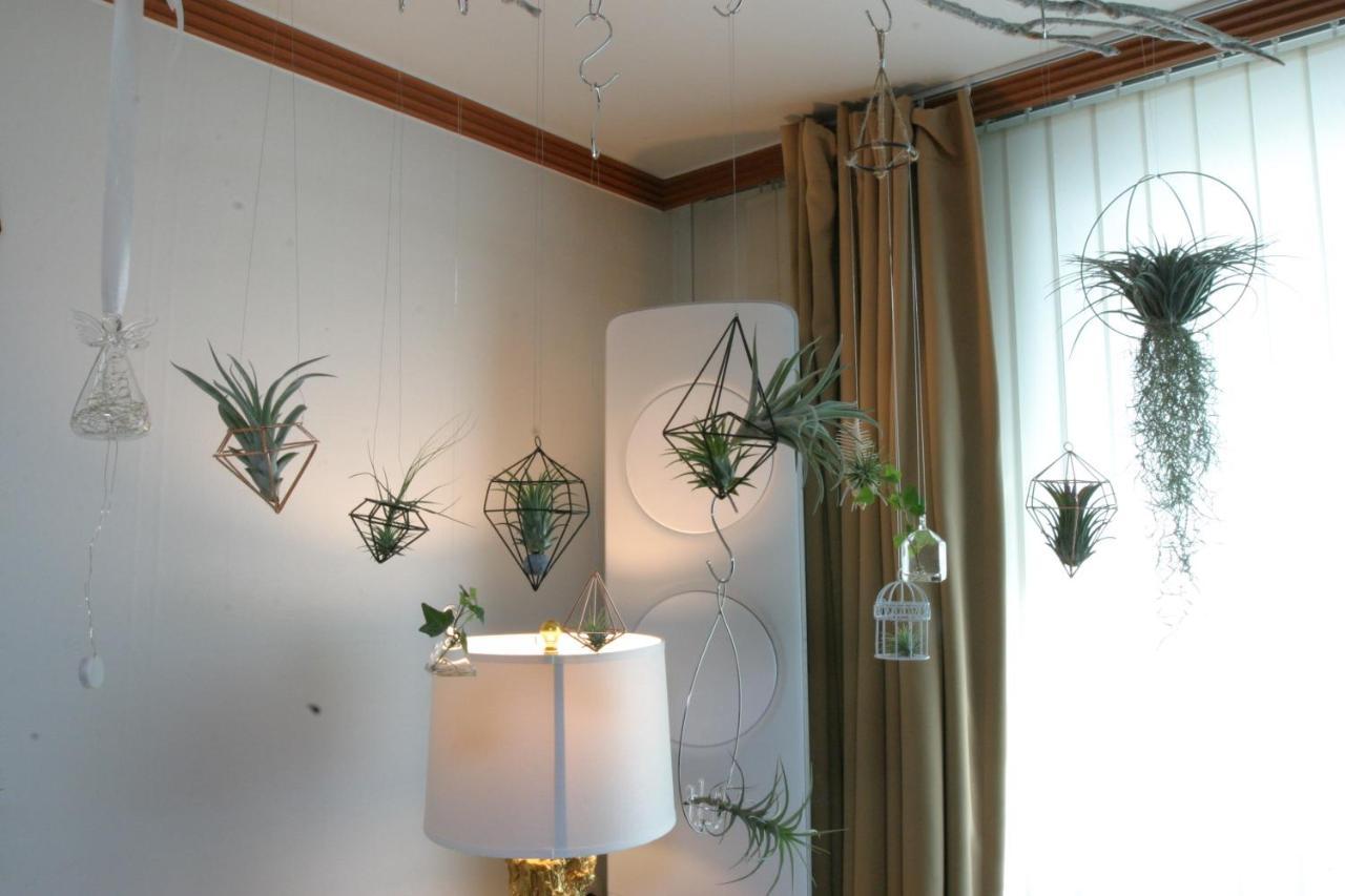 Refee House Guest house
