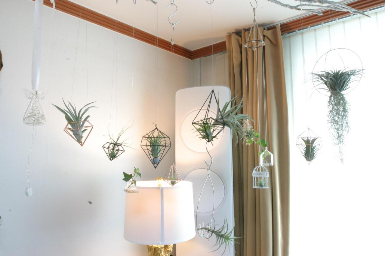 Refee House Guest house 3*