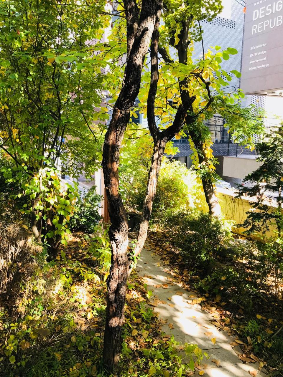 Naru 2* Seoul