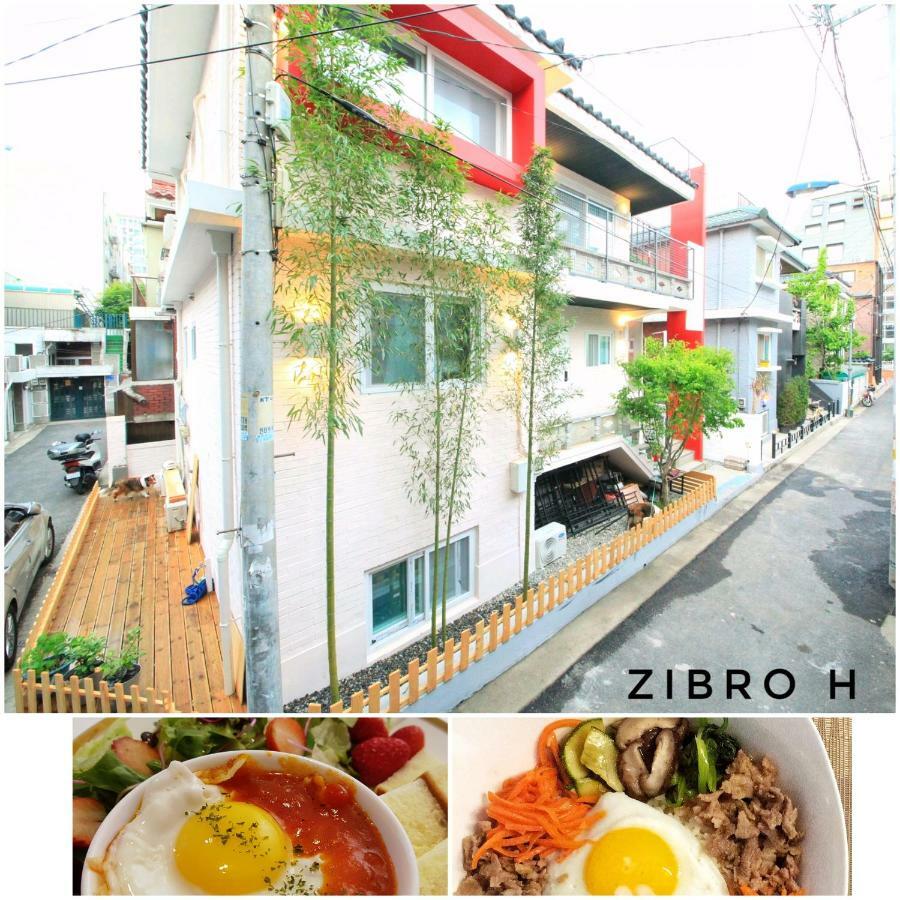 Zibro H Seoul