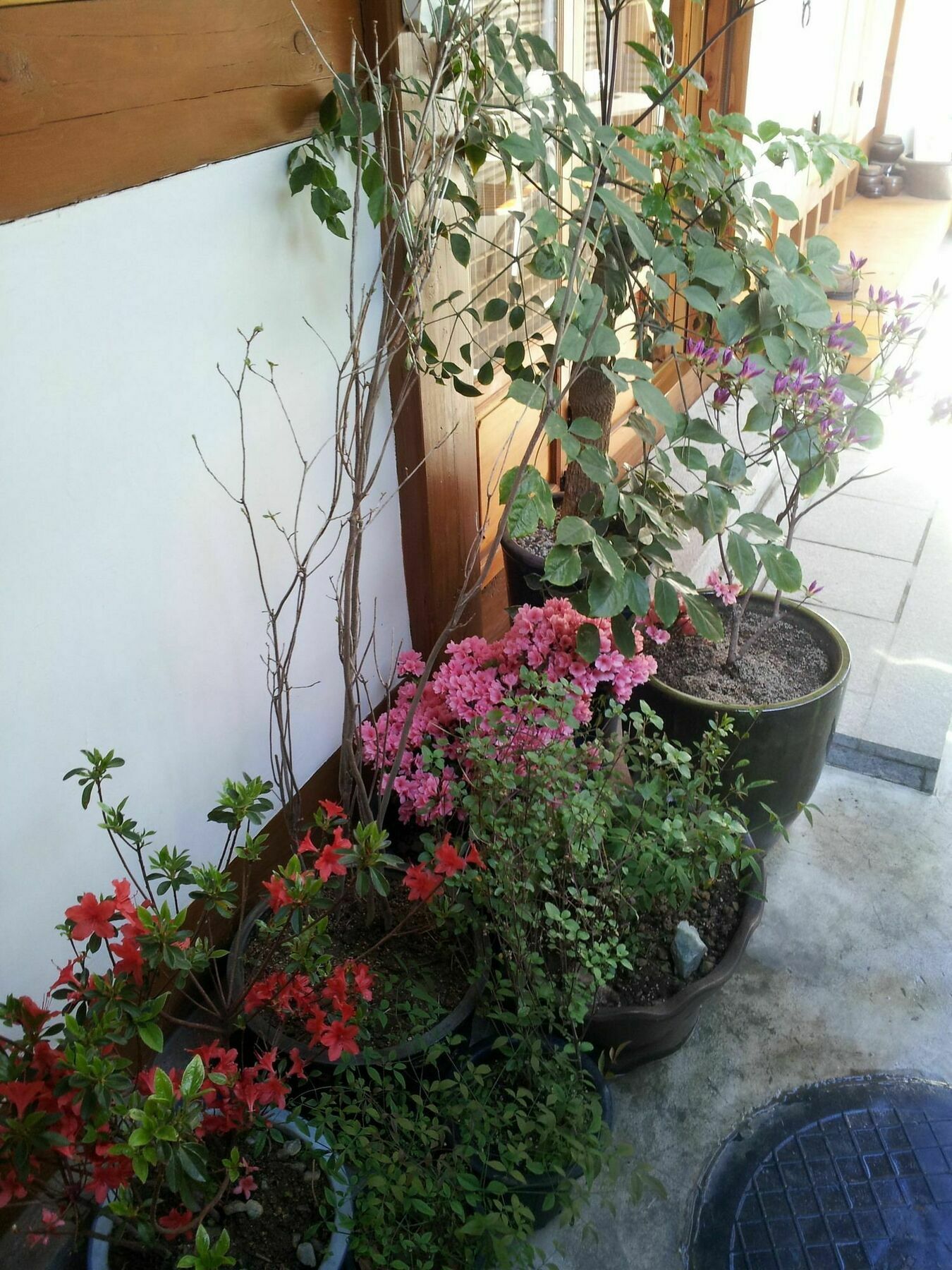 Guest house Hanok 2*