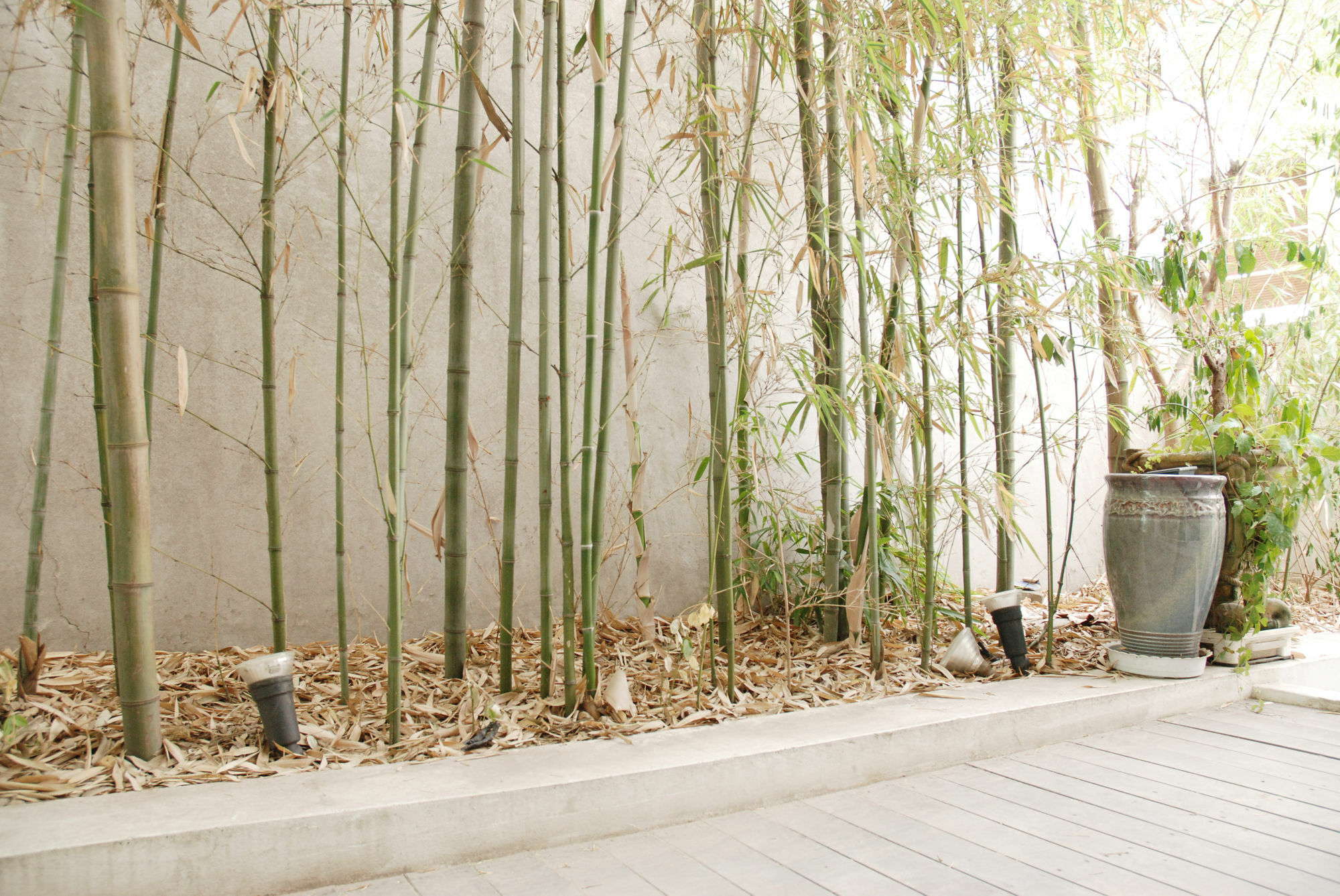The Haus Guest house Seoul