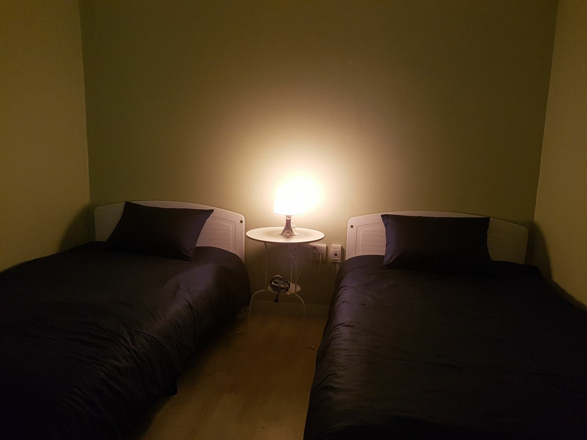 Guest house Forest 2*