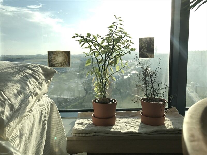 Slow House Hotel Seul