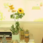 Seoul Holiday Guesthouse
