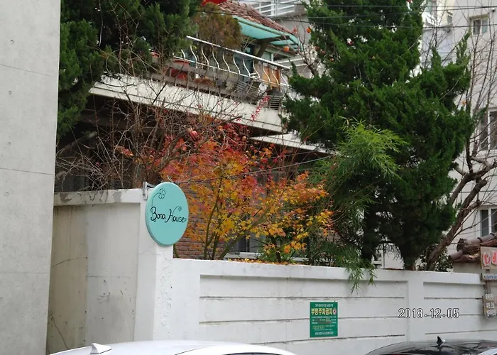 Bona House