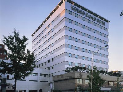 Hotel Young Dong 3*