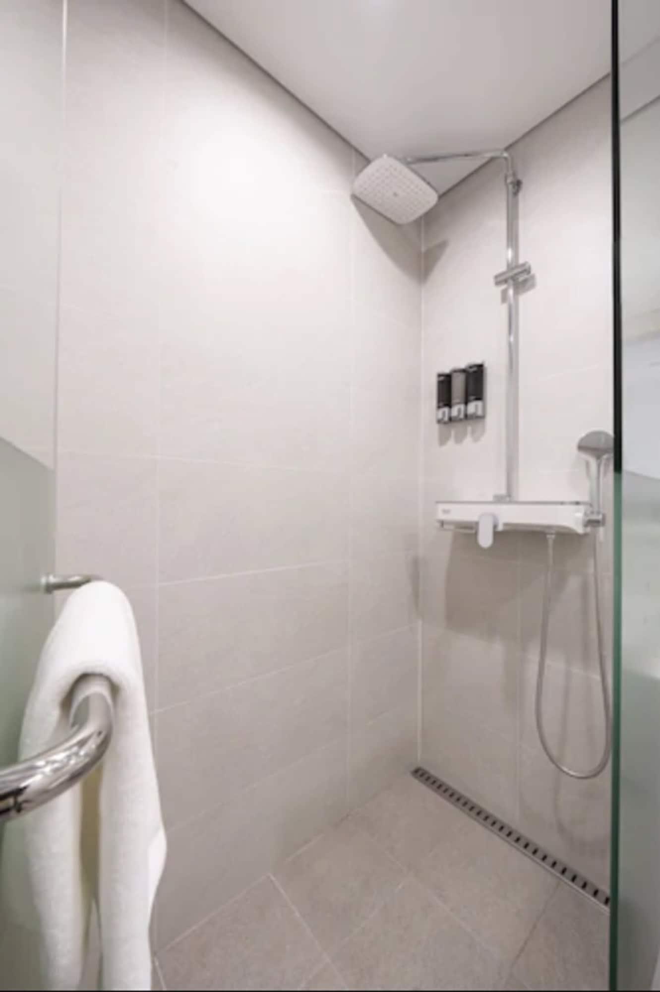 Hotel Nine Tree By Parnas Dongdaemun 4*