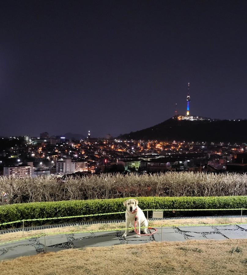 Newly Renovated Hidden Gem #2 Villa Seoul
