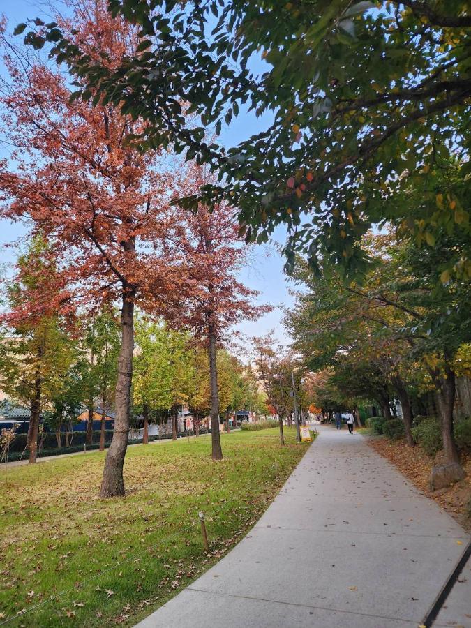 Apartment Hongdae Forest House *