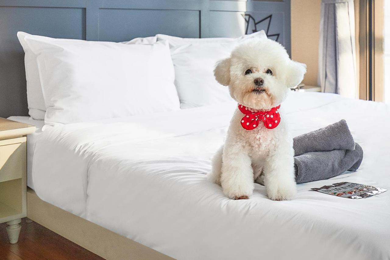 Poco Seongsu Hotel