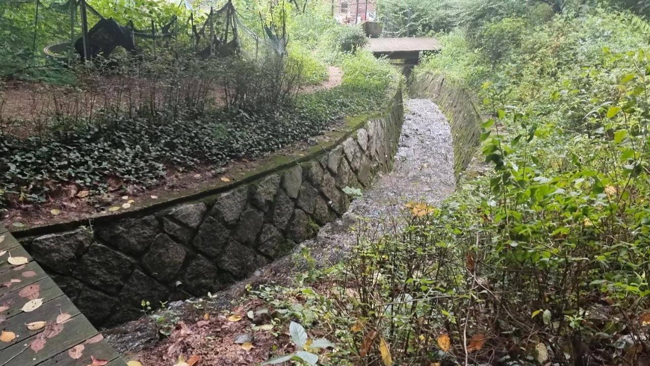 Vila Urban Forest House Seoul