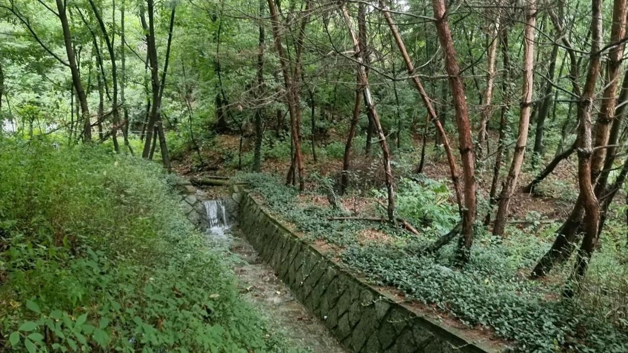 Urban Forest House Vila Seoul