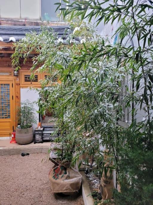 Private Hanok Space Moda * Seoul